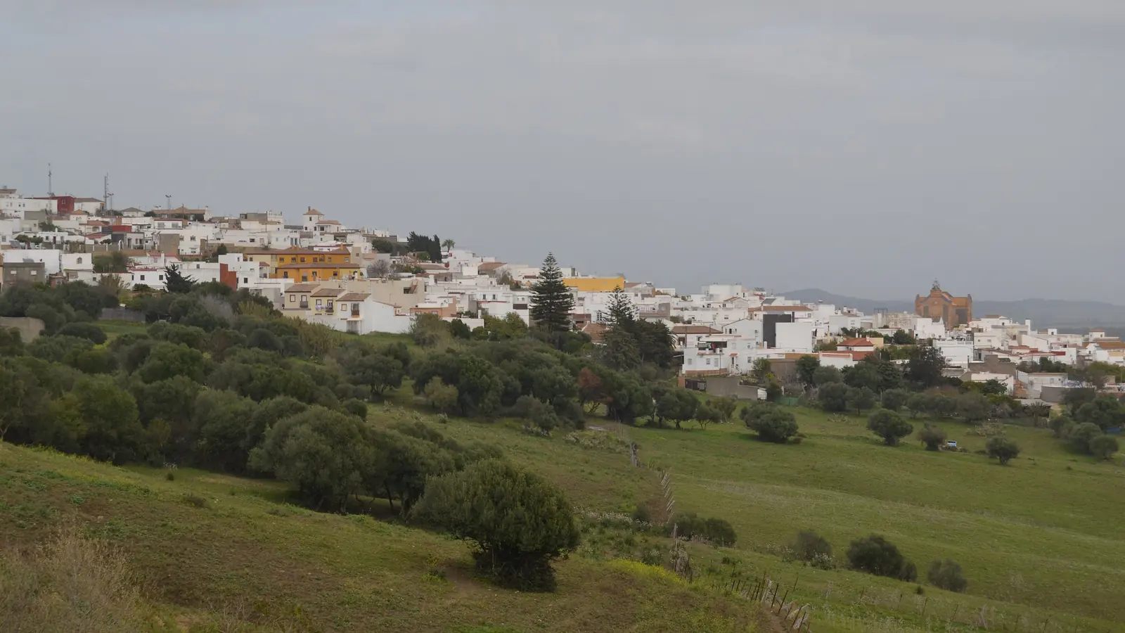 Whitewashed houses of Benalup-Casas Viejas on a hillside above green fields and olive trees under a grey sky