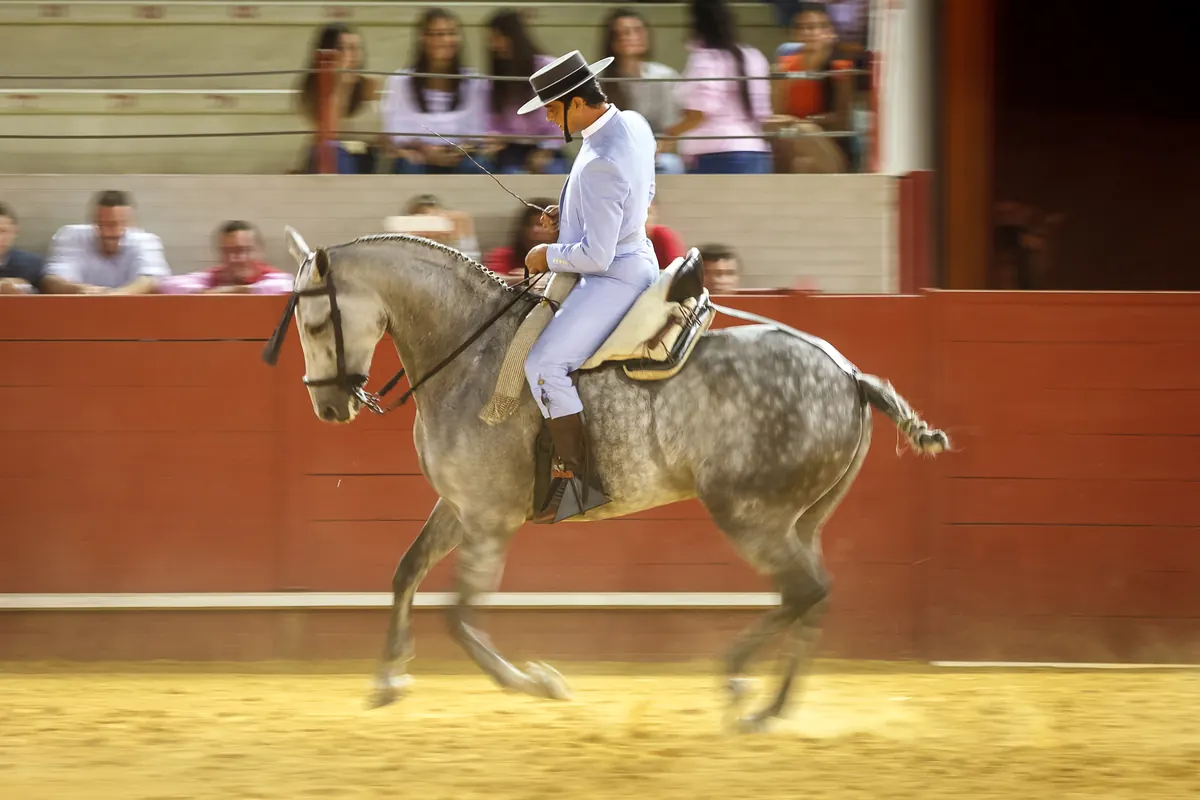 A rider in a short jacket and flat-brimmed hat on a dappled grey horse, cantering past a red arena wall with spectators behind