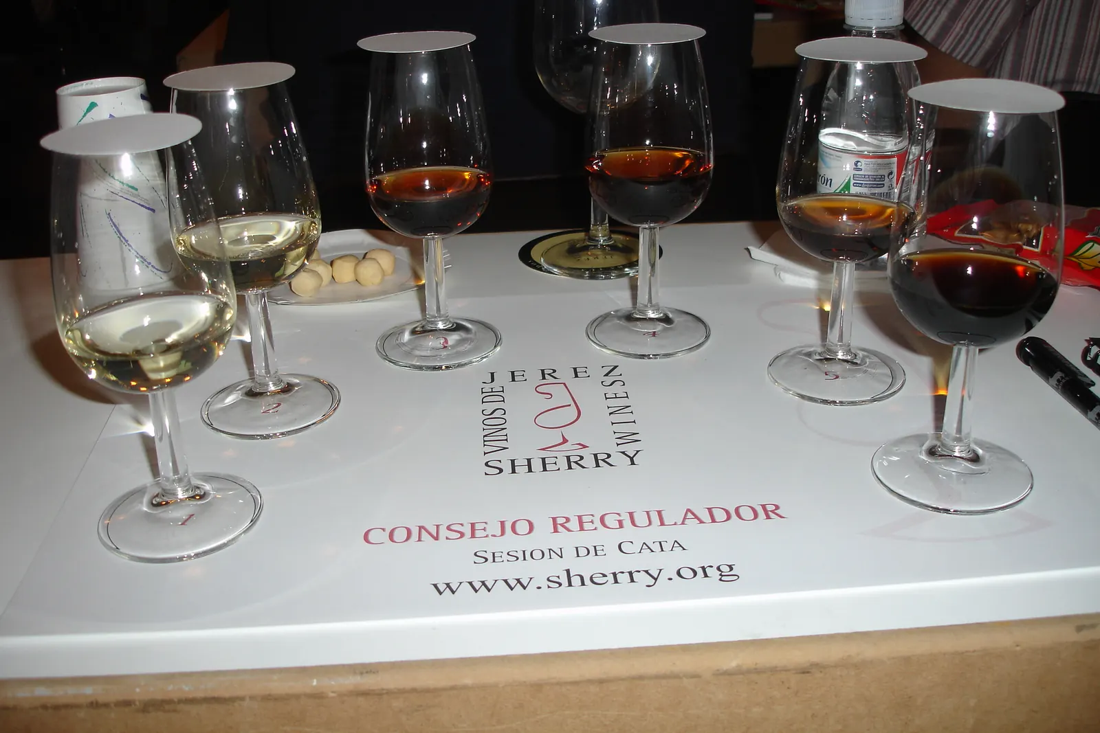 Tasting glasses of sherry, from pale to dark, on a white tasting tray in Jerez de la Frontera